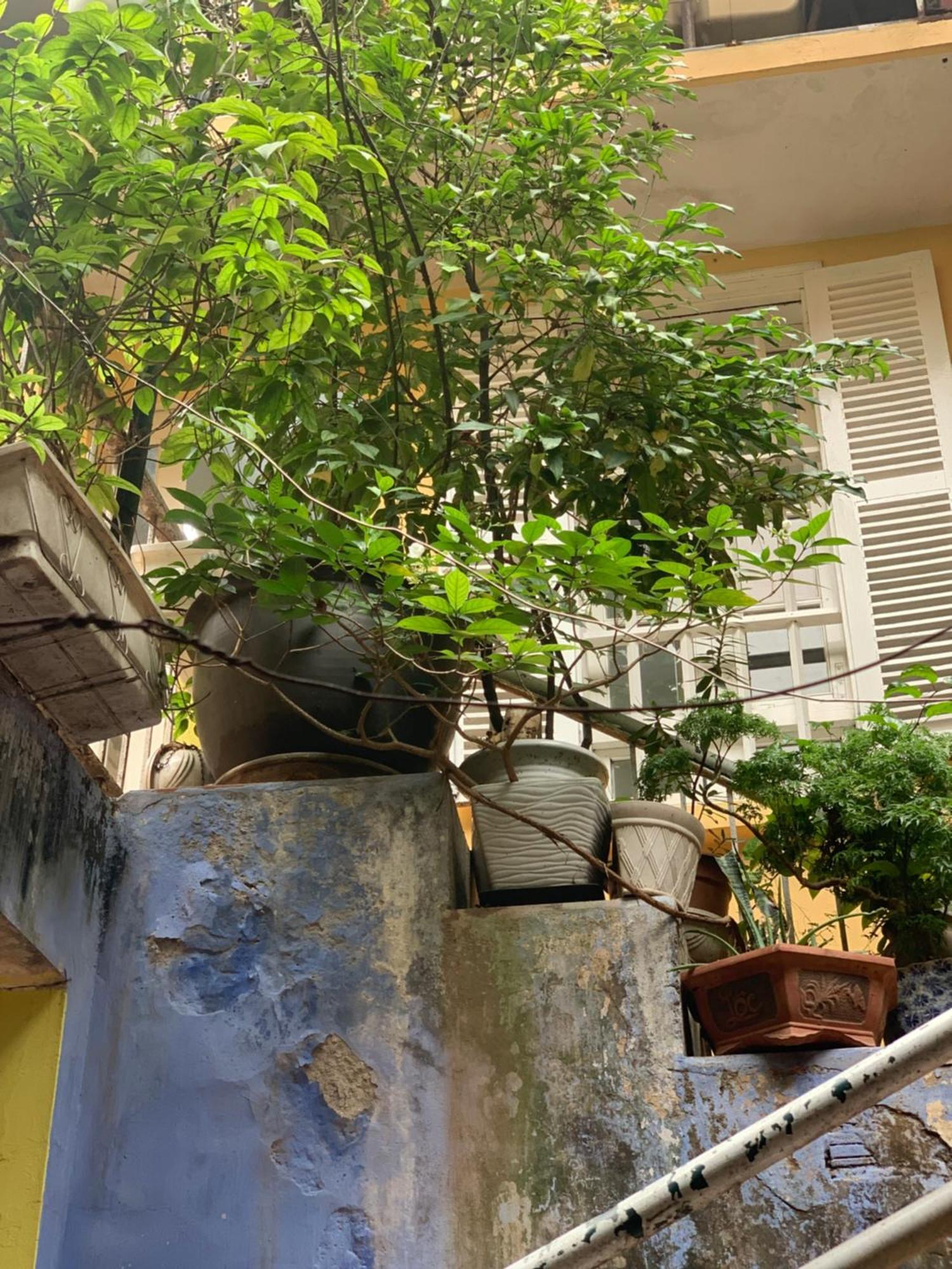 Charmcham House Apartman Hanoi Kültér fotó