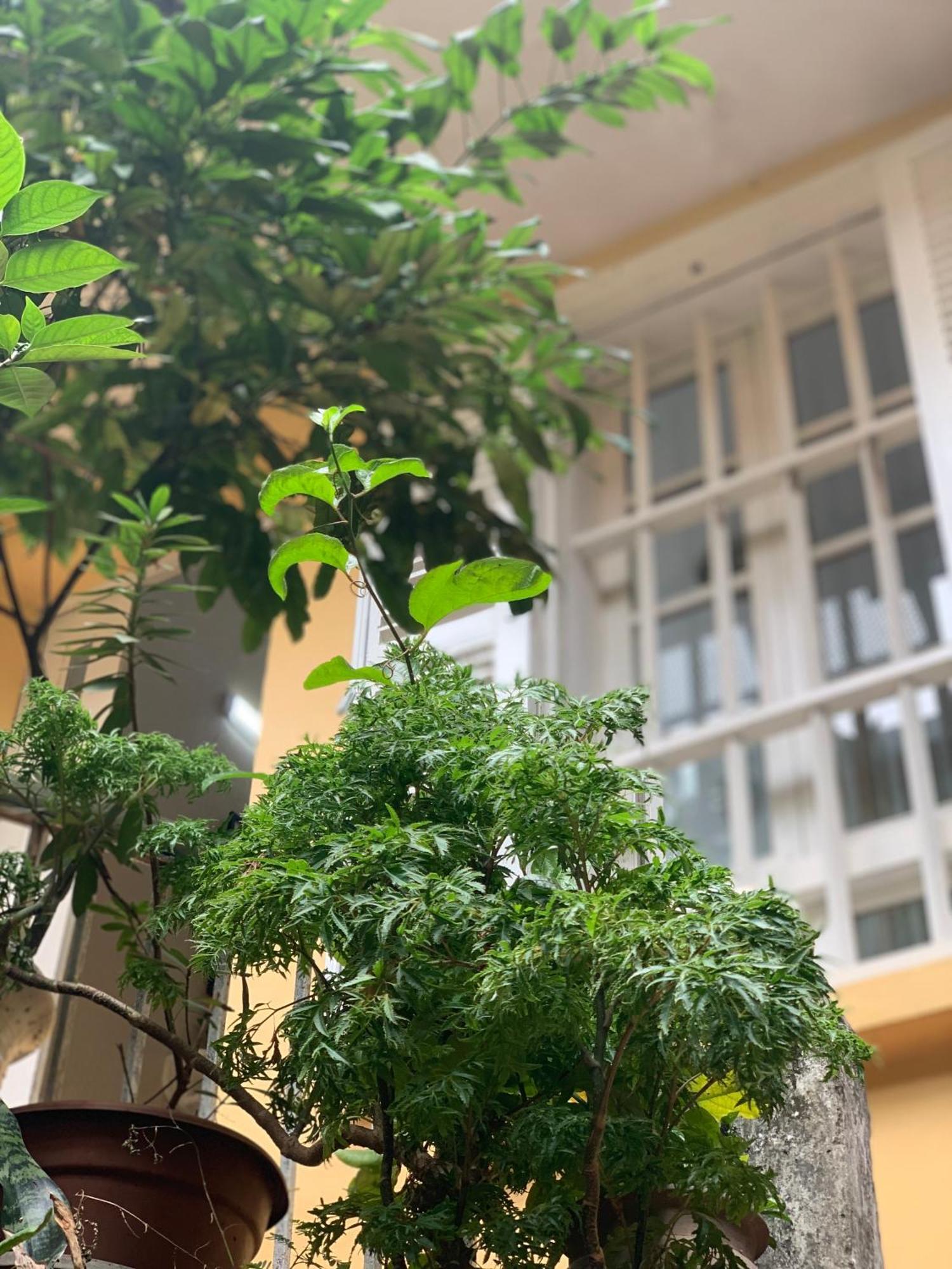 Charmcham House Apartman Hanoi Kültér fotó